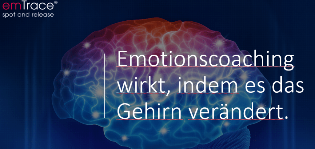Emotionscoaching wirkt, indem es das Gehirn verändert.