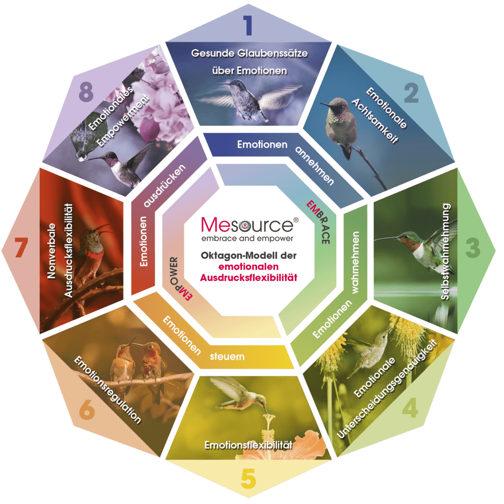 Oktagon-Modell des Mesource-Resilienz-Frameworks